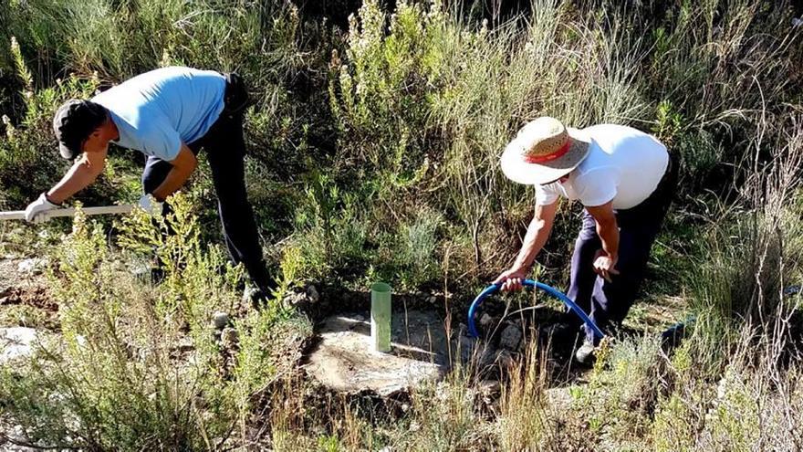 Dos de los operarios que han trabajado en el programa de regeneración realizan trabajos de plantación y desbroce. A la derecha, las especies arbóreas autóctonas plantadas.