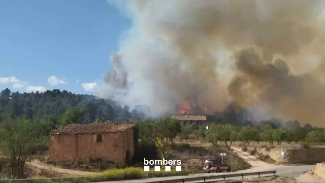 Vídeo | Incendio forestal en Lledó (Teruel)