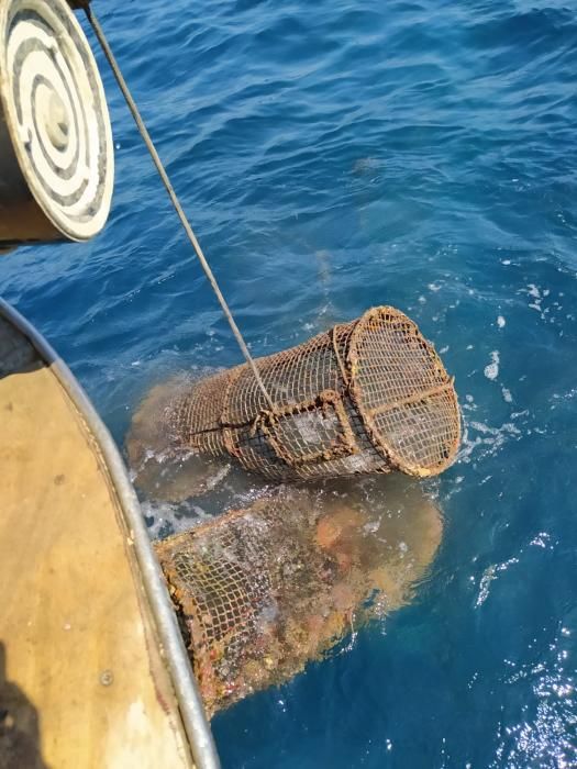 Jornada de voluntariat al Port de la Selva