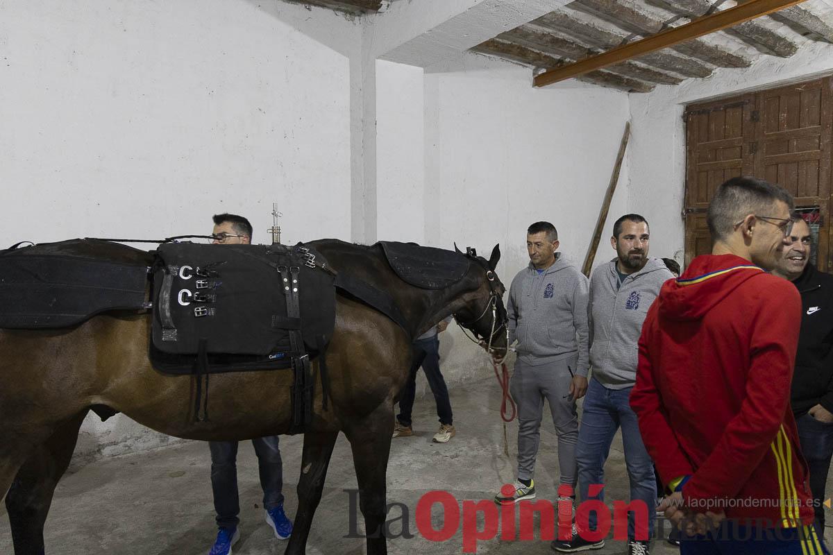 Caballos del vino/Vestir a un caballo_015