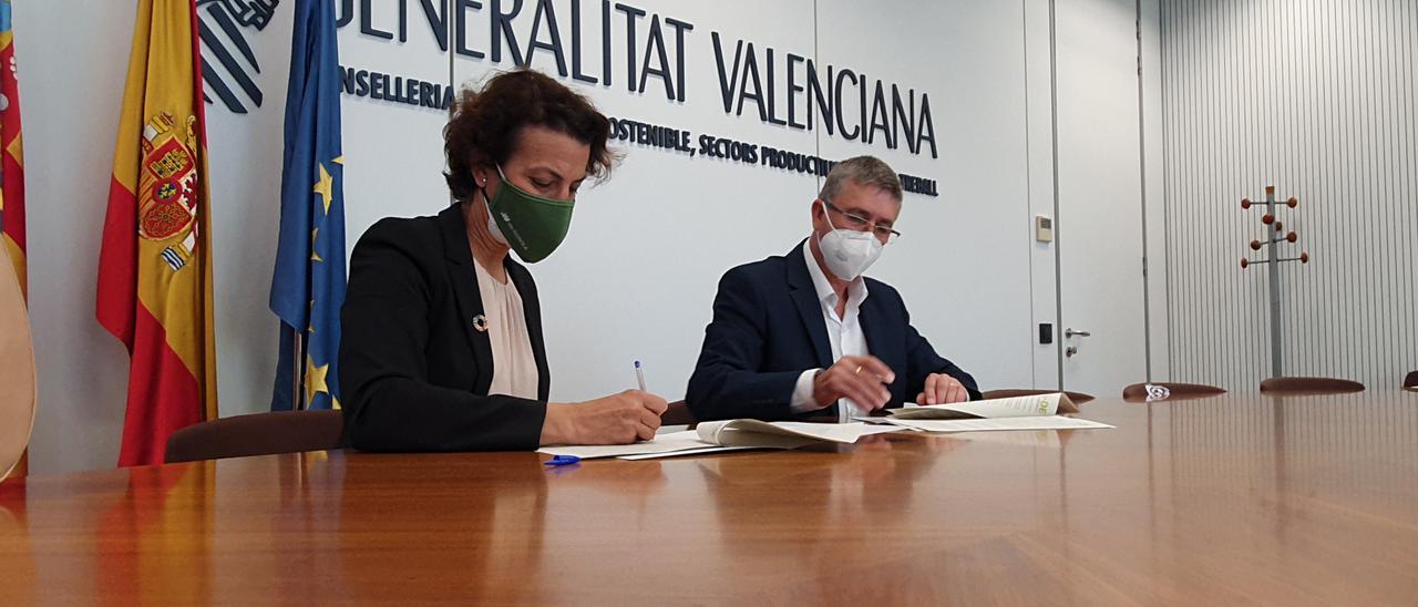 La firma del acuerdo entre el conseller y la directora de Iberdrola i-DE en la Comunidad
