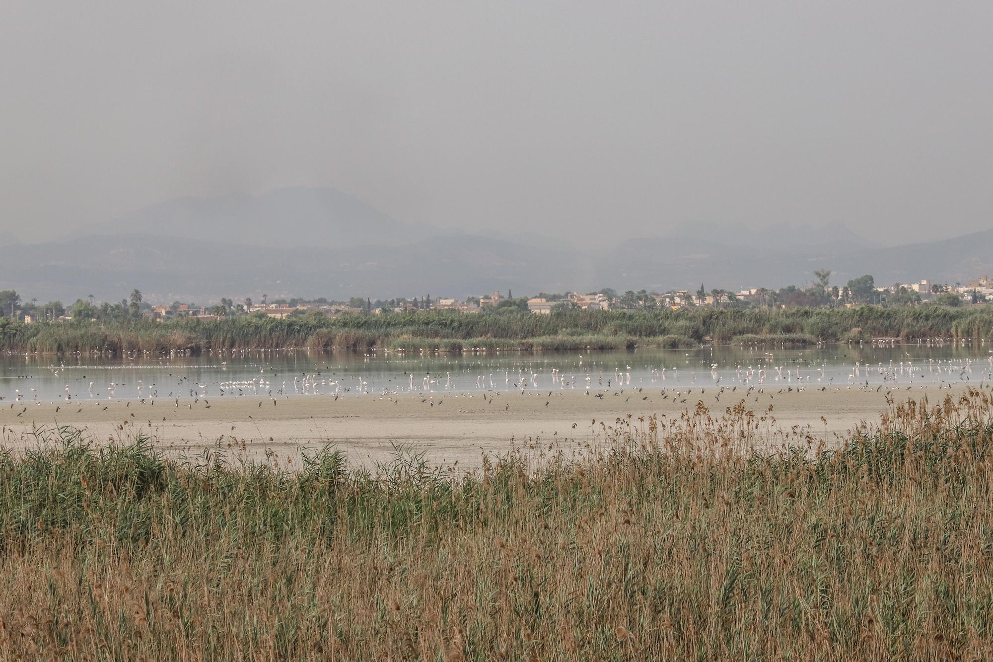 El Hondo deseca sus dos embalses para regenerar el agua