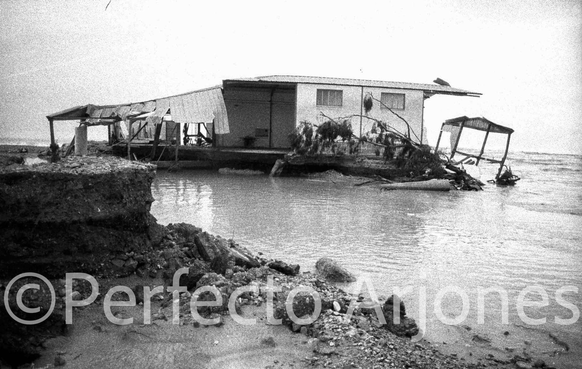 Riada de 1982: El día que Alicante se partió en dos