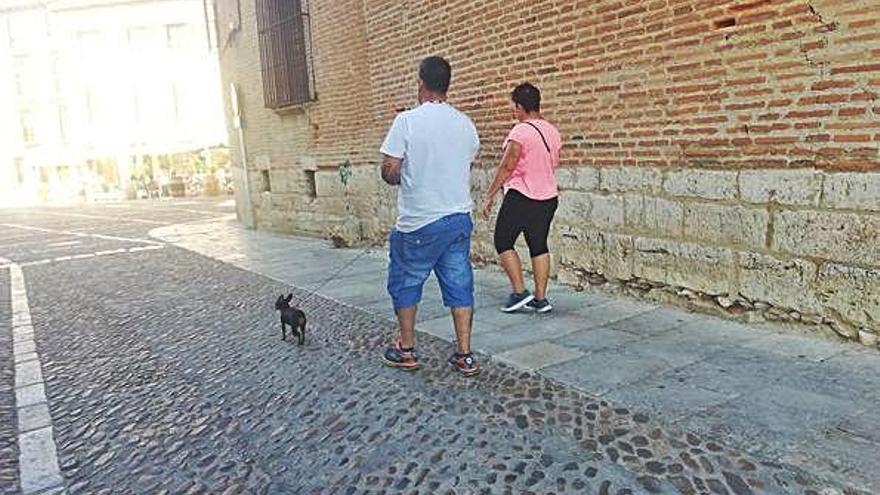 Dos jóvenes pasean a su perro por las calles de Toro.
