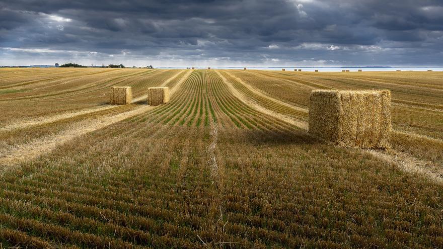 El 80% de la tierra que los humanos necesitan para sobrevivir está amenazada por sus propias actividades