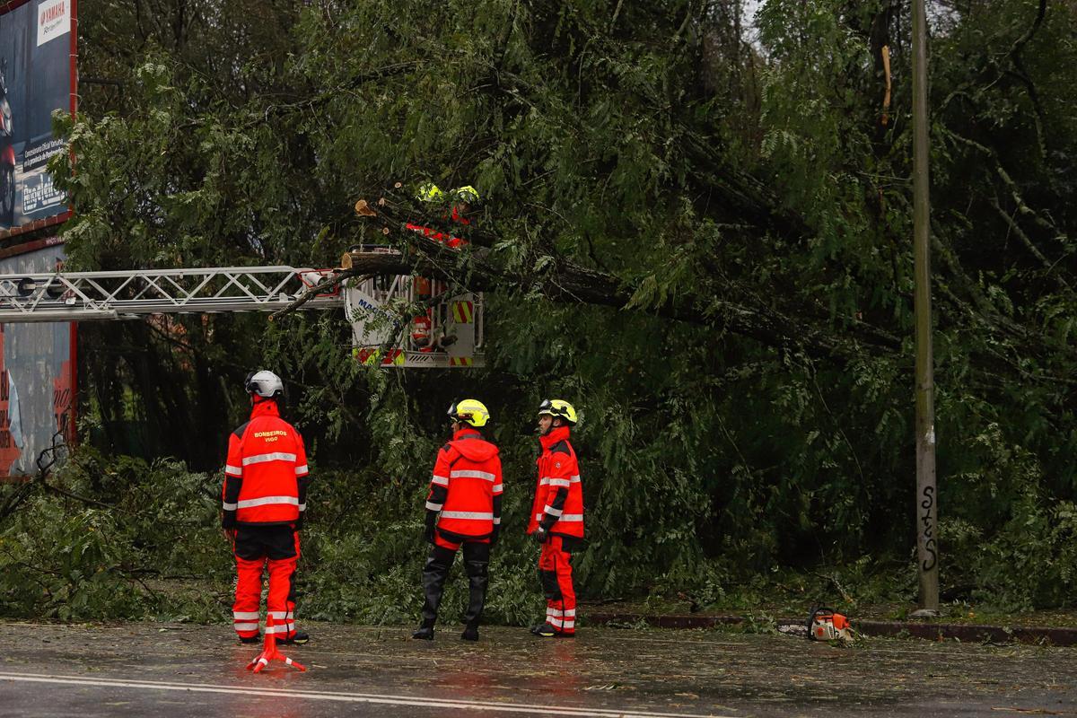 Intervención de los bomberos en la Avenida de Europa a causa de la caída de un árbol.