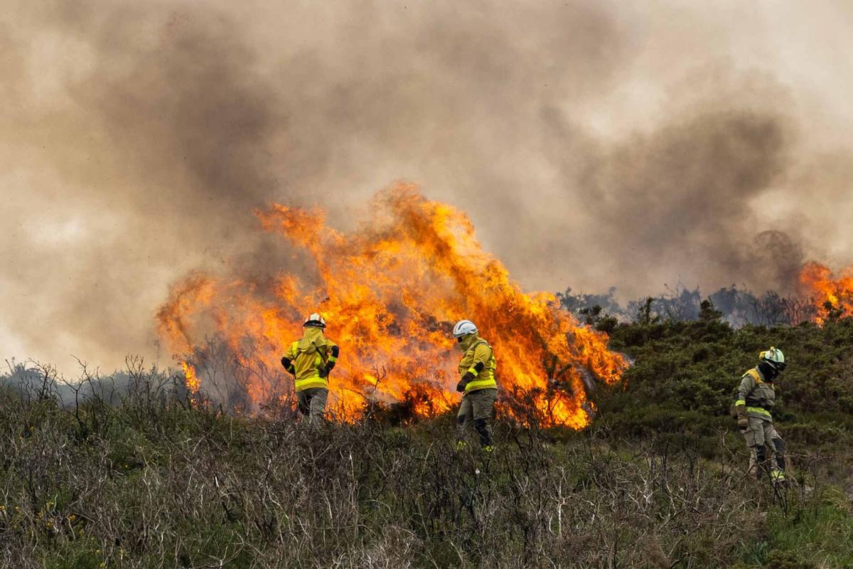 El fuego, un aliado en la prevención de las llamas: «Reduce la carga y nos da margen de seguridad