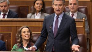 La secretaria general del PP, Cuca Gamarra, y el presidente del PP, Alberto Núñez Feijóo, durante un pleno en el Congreso de los Diputados, a 19 de febrero de 2025, en Madrid (España).