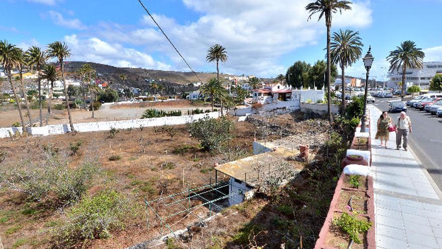 La finca de árboles frutales de la Hoya de San Pedro está seca y abandonada