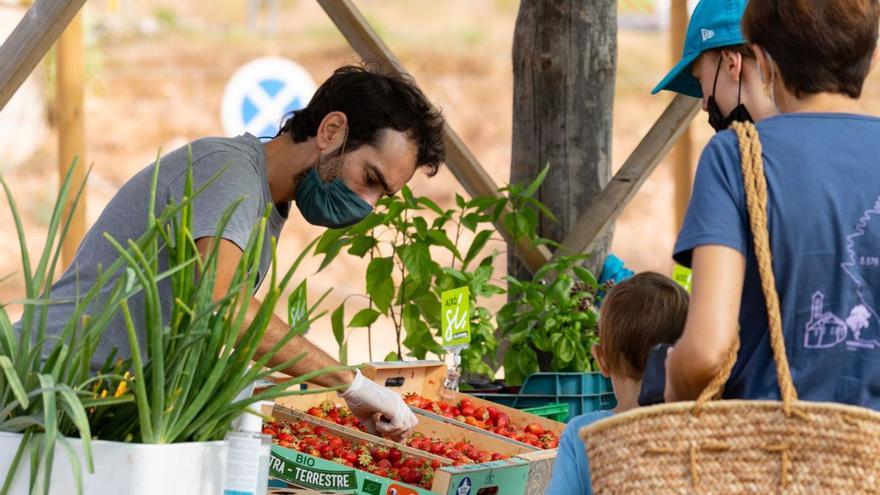 Productos exclusivos en el Mercat de sa Cooperativa en Ibiza