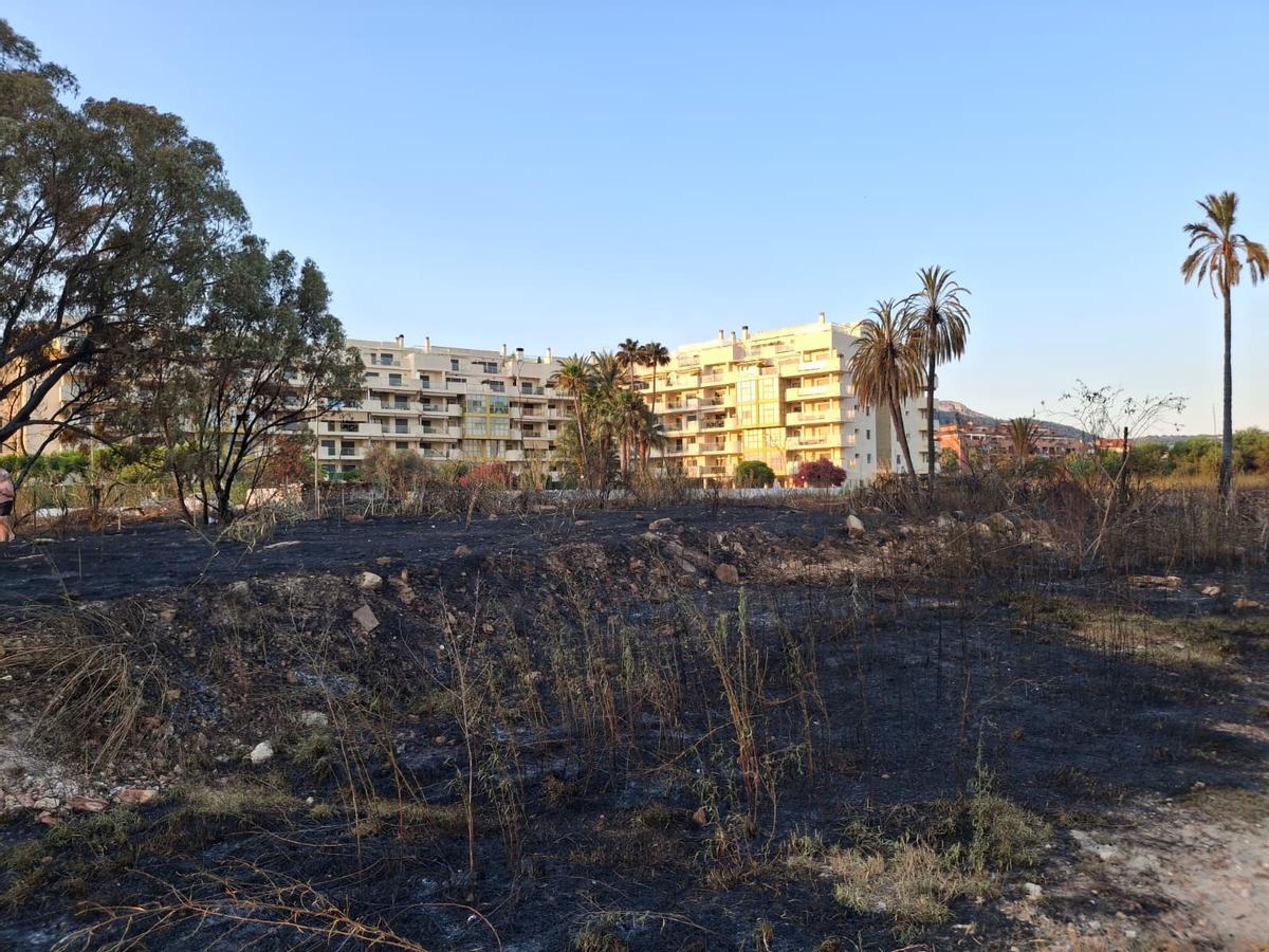 Un tramo de duna calcinado y escombros, abandono y cenizas: el estrago del incendio de Dénia junto a la playa del Raset