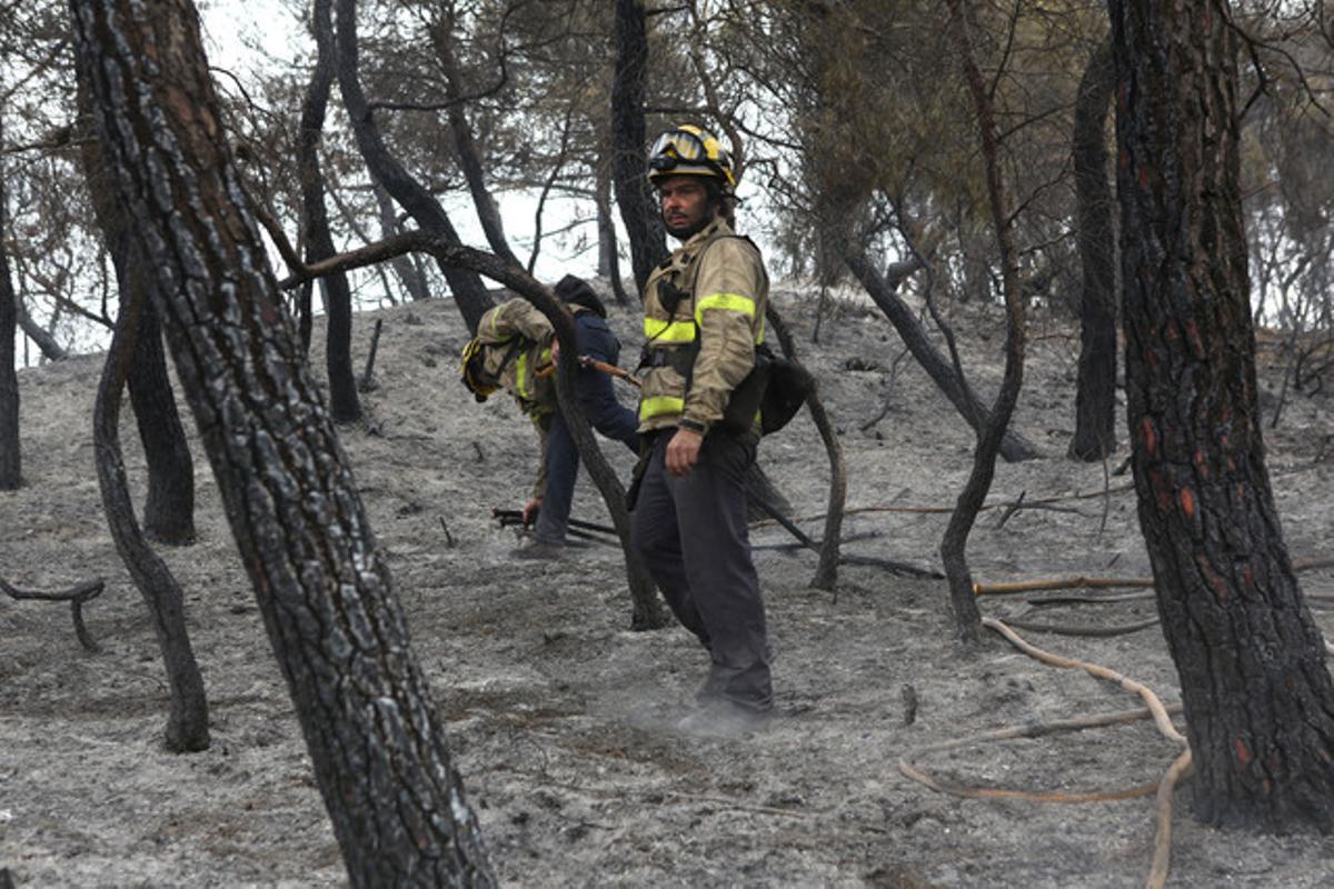Un bomber treballa en l’extinció de l’incendi forestal d’Òdena, aquest dilluns.
