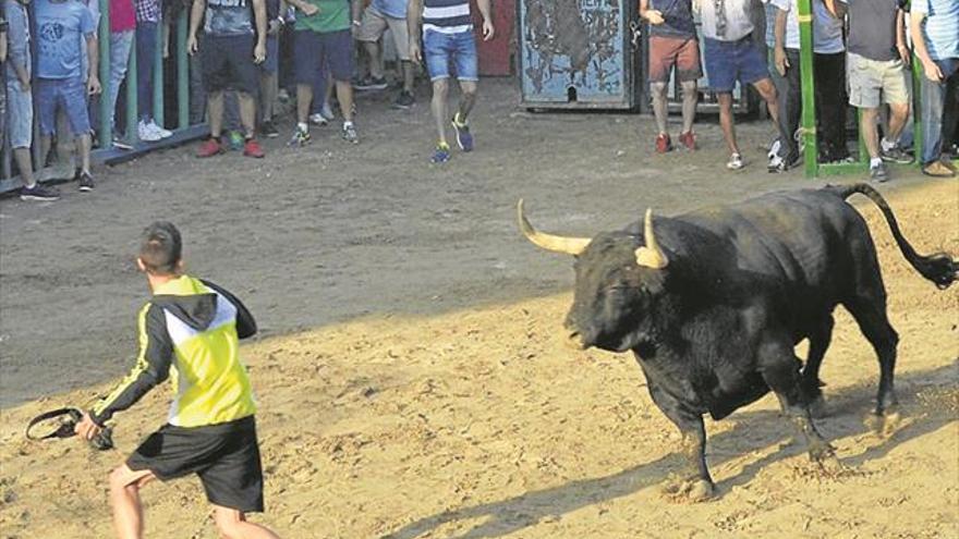 Los astados y el coloridos de los disfraces toman las calles