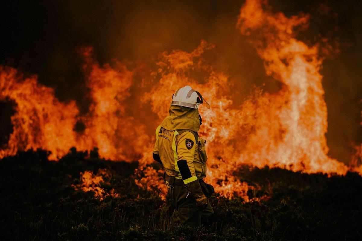 El incendio de Boborás, el primer foco importante en Ourense antes del verano