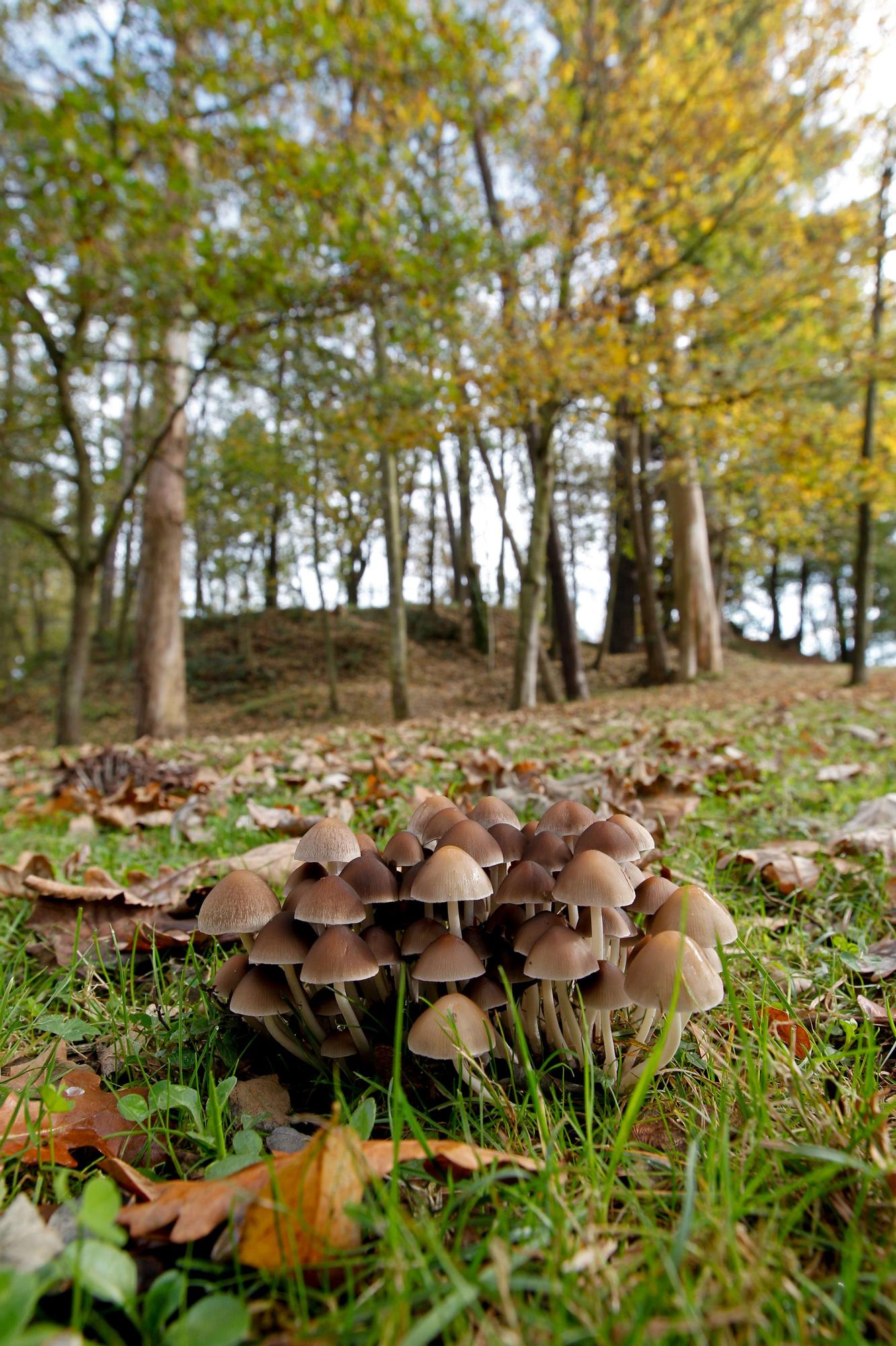 Las 100 fotos que demuestran que el otoño es la mejor época para conocer Asturias