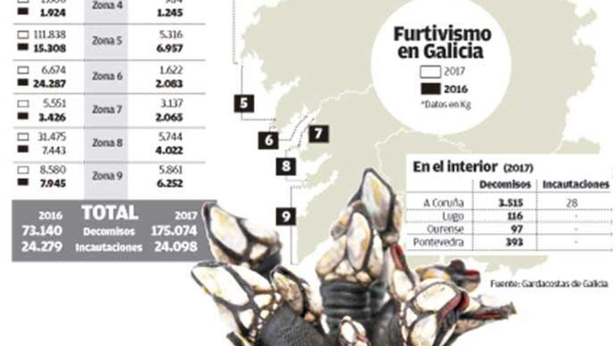 Mar duplicó los decomisos de productos pesqueros en 2017, hasta las 175 toneladas