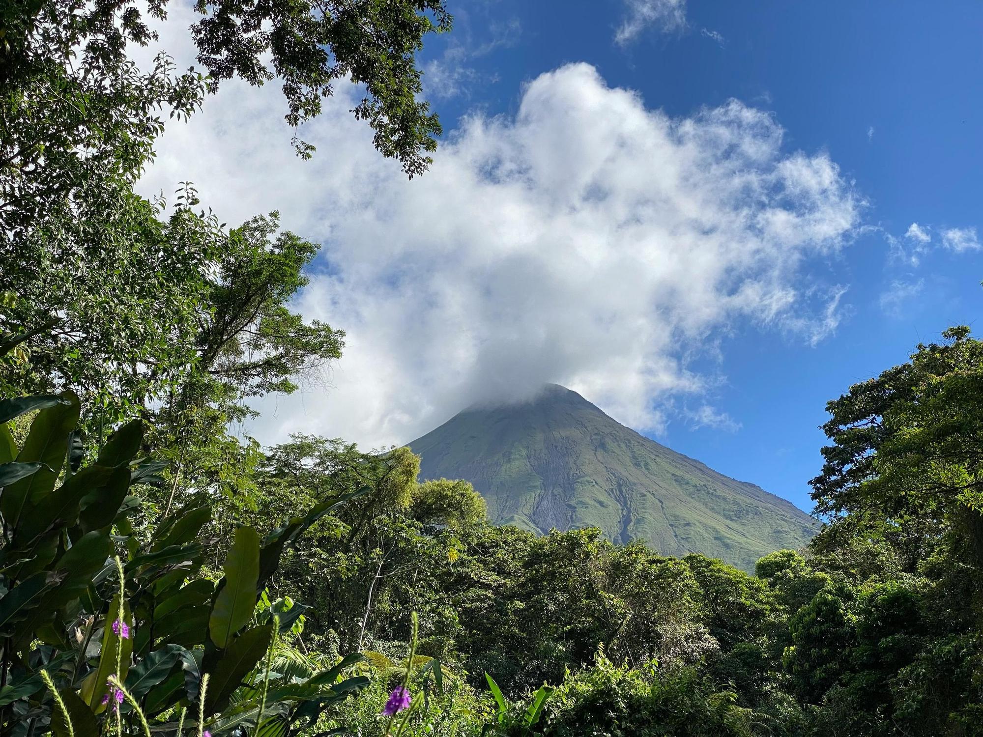 El coloso verde del Parque Nacional Volcán Arenal, en busca de las ranas de ojos rojos