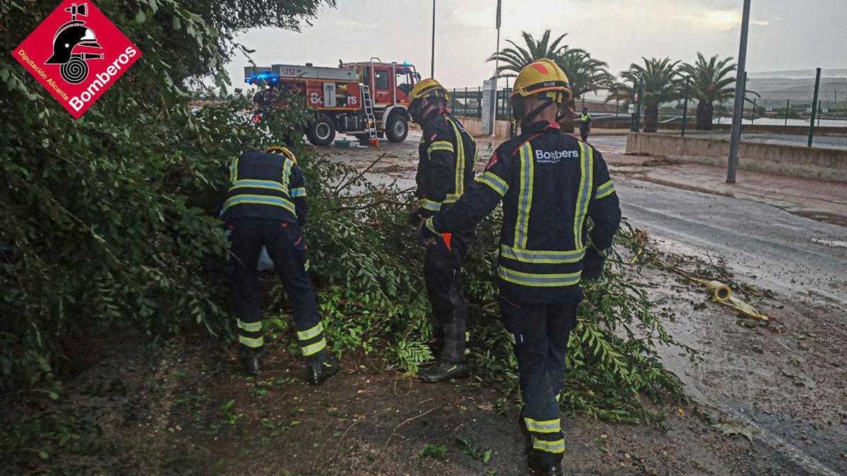 La tormenta derribó una veintena de árboles en el casco urbano de Beneixama.