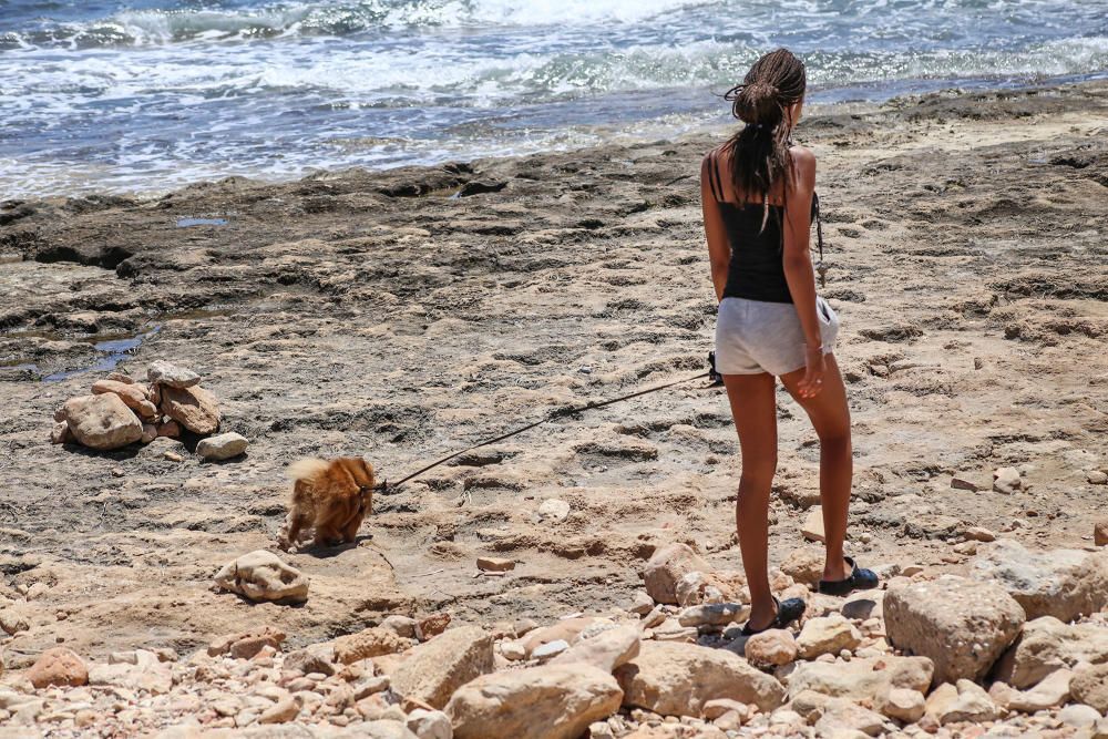 Los bañistas están acudiendo con perros a Punta Margalla y Cala del Moro, las dos playas autorizadas para perros, sin que el Ayuntamiento las haya señalizado todavía.