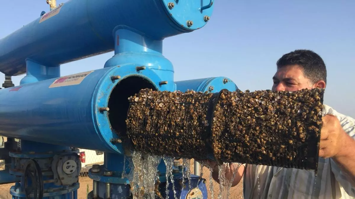 Ingenieros, científicos y agricultores diseñan tecnologías 'ad hoc' para paliar el impacto las especies invasoras