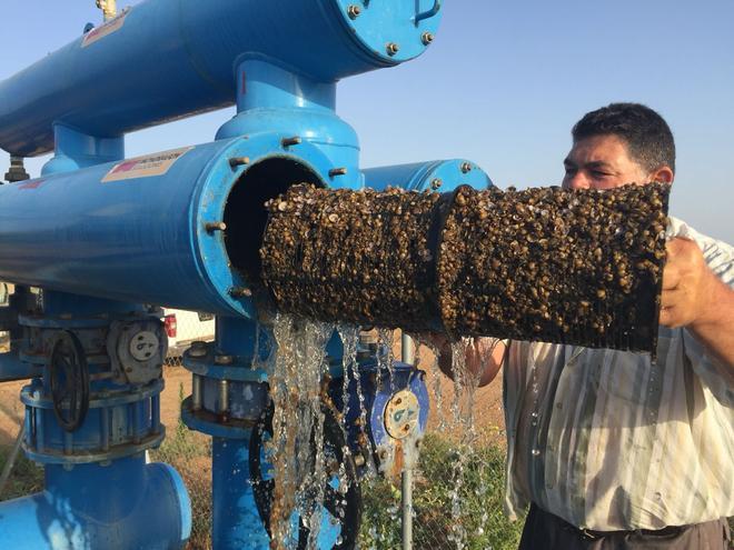 Ingenieros, científicos y agricultores diseñan tecnologías 'ad hoc' para paliar el impacto las especies invasoras