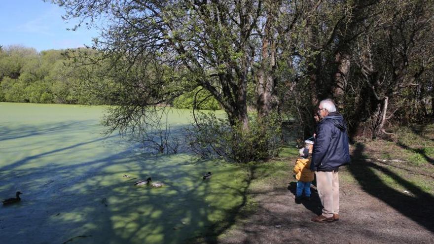 El inventario de zonas húmedas de Galicia solo incluye uno de los 9 humedales de la comarca