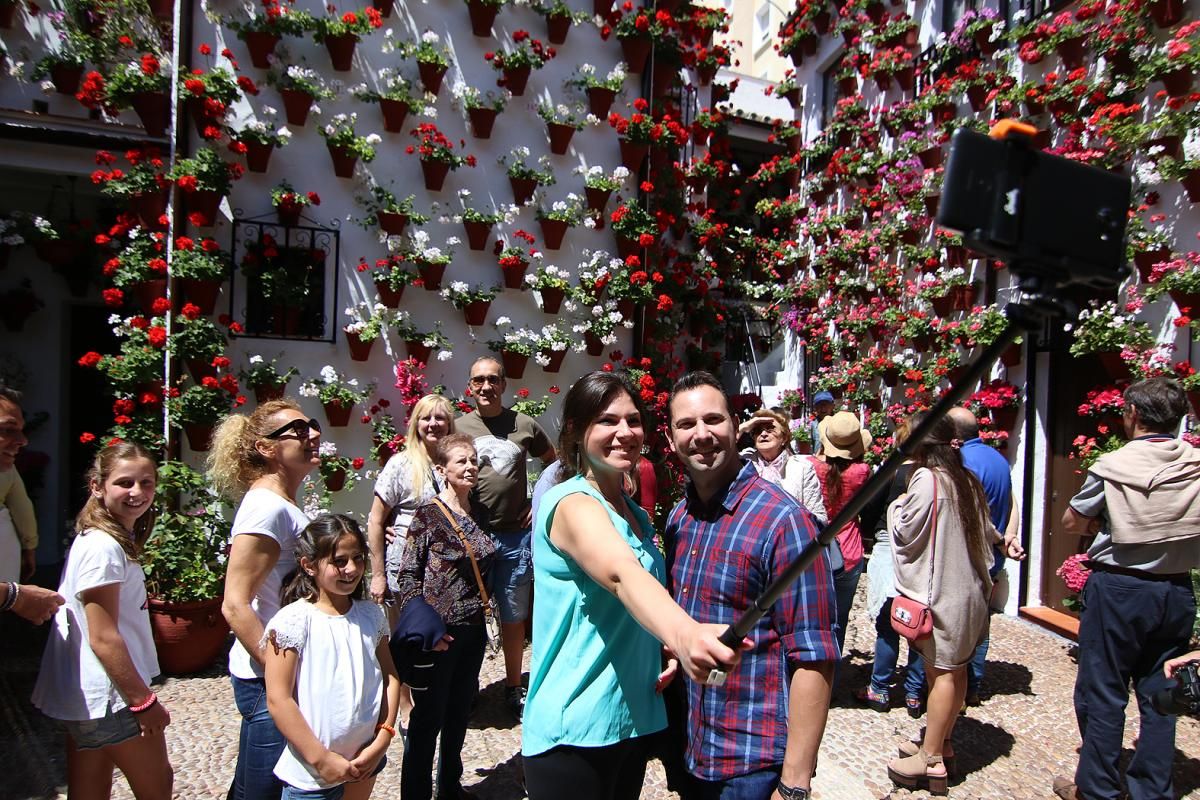 Fotogalería / Empieza el Concurso de Patios Cordobeses