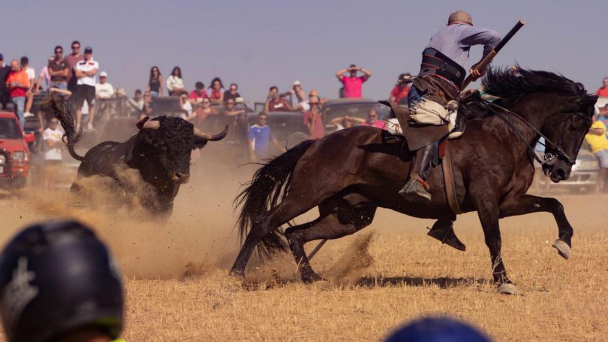 Uno de los toros persige a un caballista. | José Luis Fernández