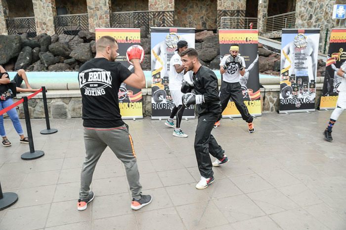 ENTRENAMIENTO BOXEO