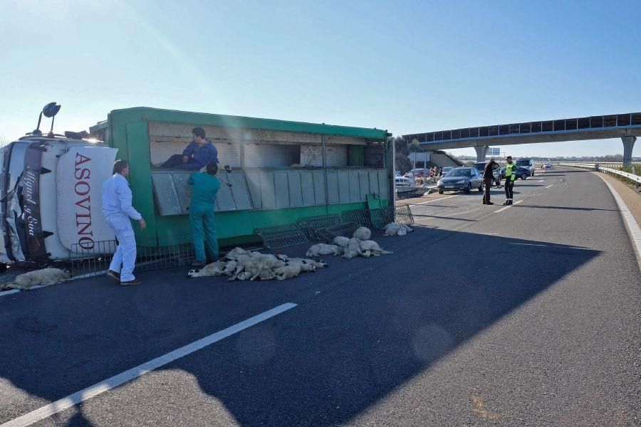 Accidente en la A-11