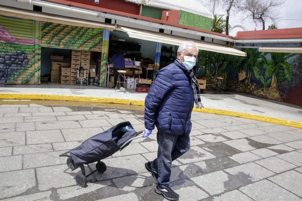 Coronavirus | Paseos por La Laguna y Santa Cruz