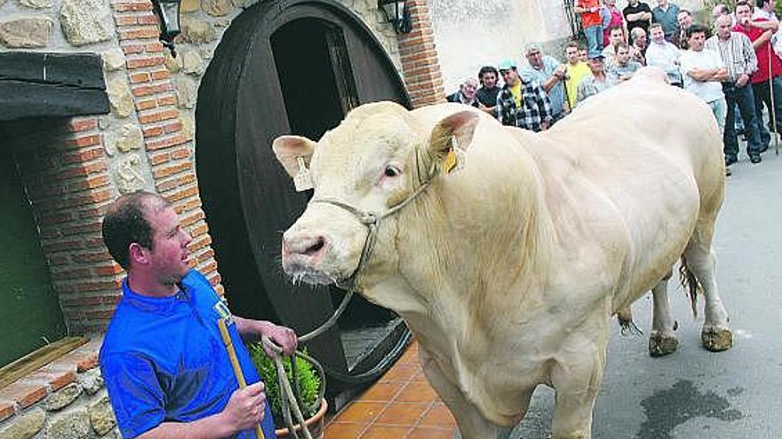 Ángel Fernández, con «Caribe», en Nueva de Llanes.