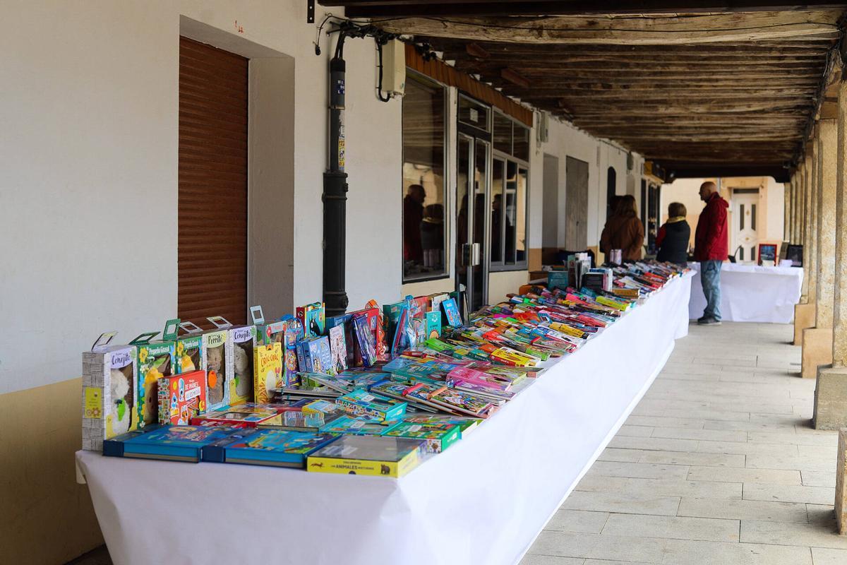 GALERÍA | Feria del Libro de Fuentesaúco