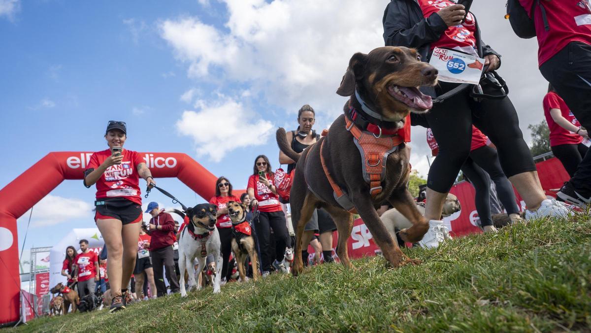 Carrera Can We Run 2026