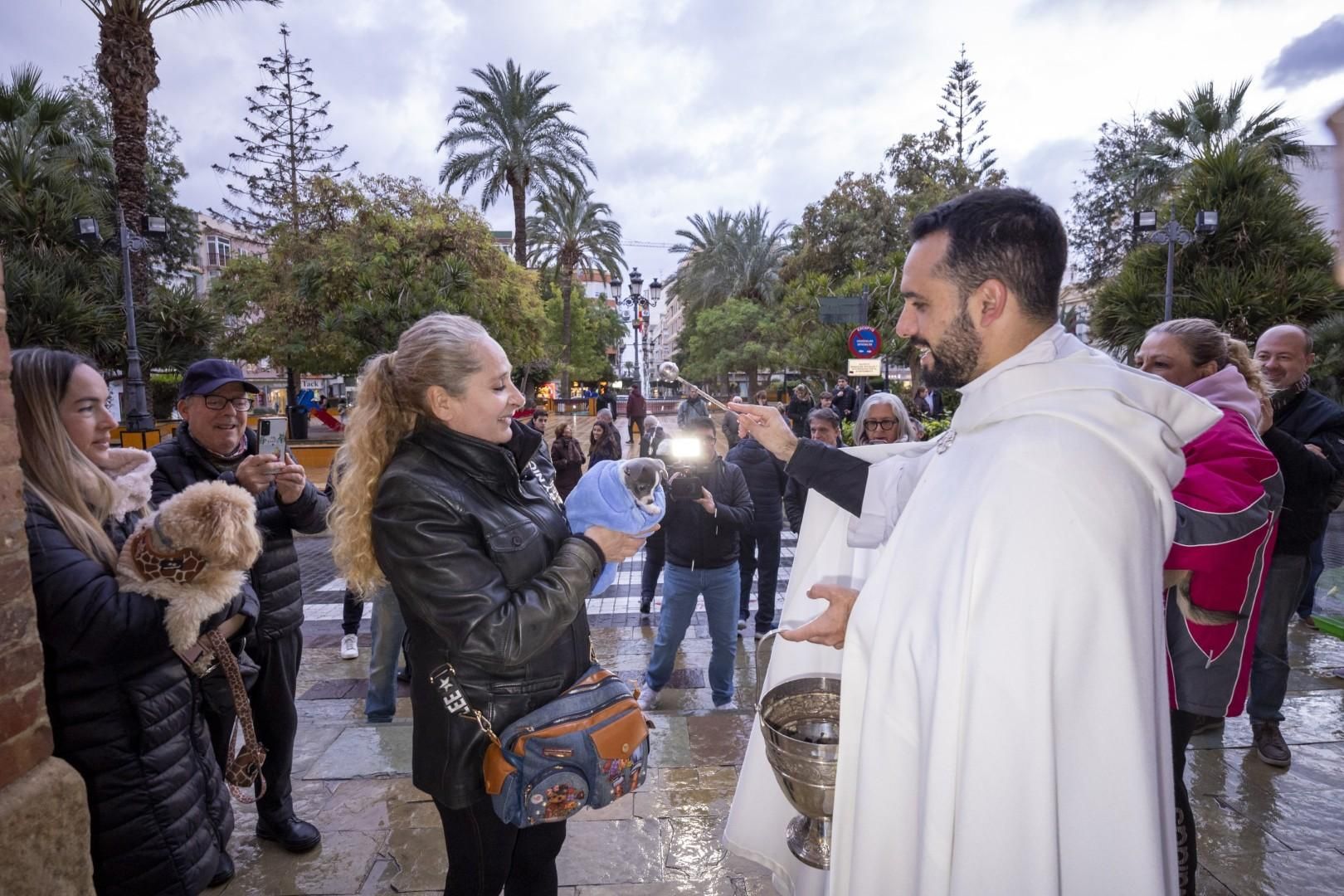 Bendición de animales por San Antón bajo una lluvia invernal en Torrevieja