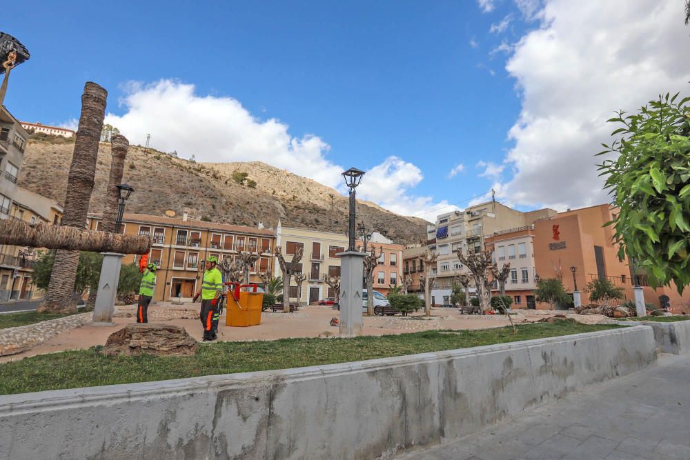 Así ha quedado la plaza de Santa Lucía de Orihuela tras retirar los troncos y tocones de 23 palmeras secas