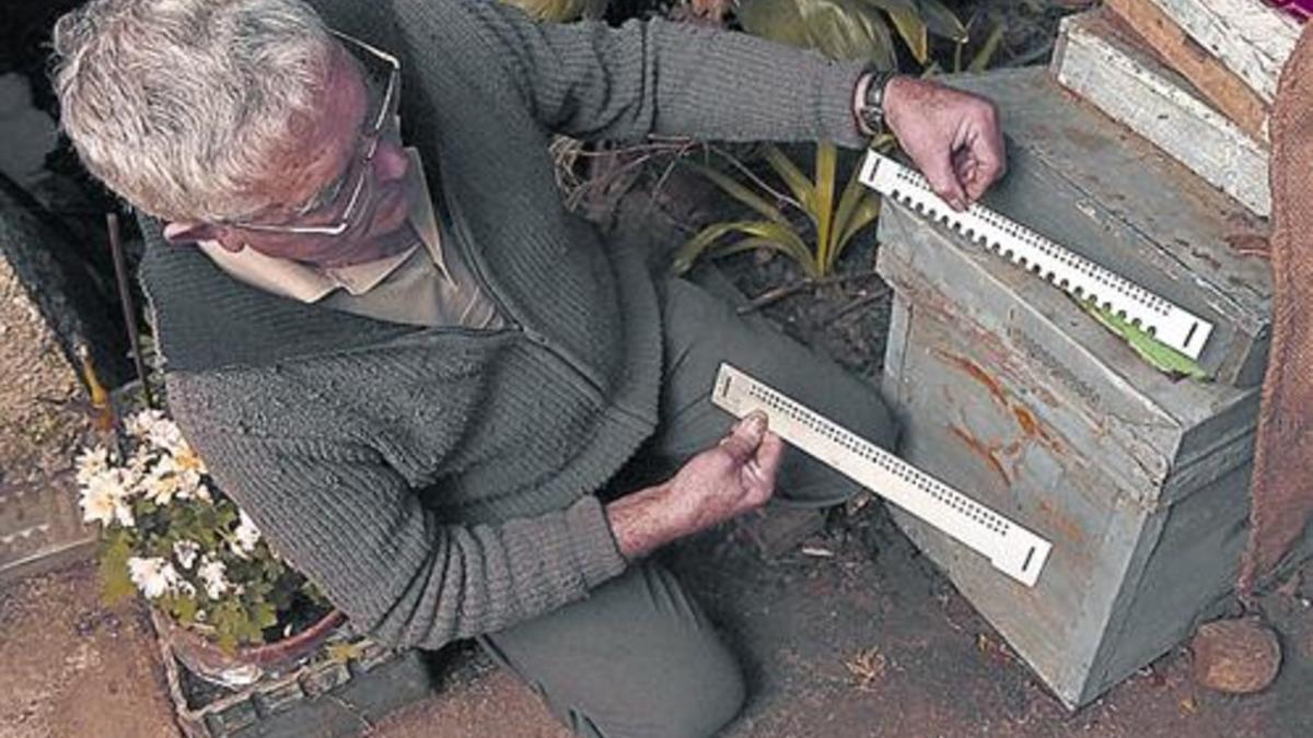 Rastrillos contra la avispa asiática para los panales de abejas.