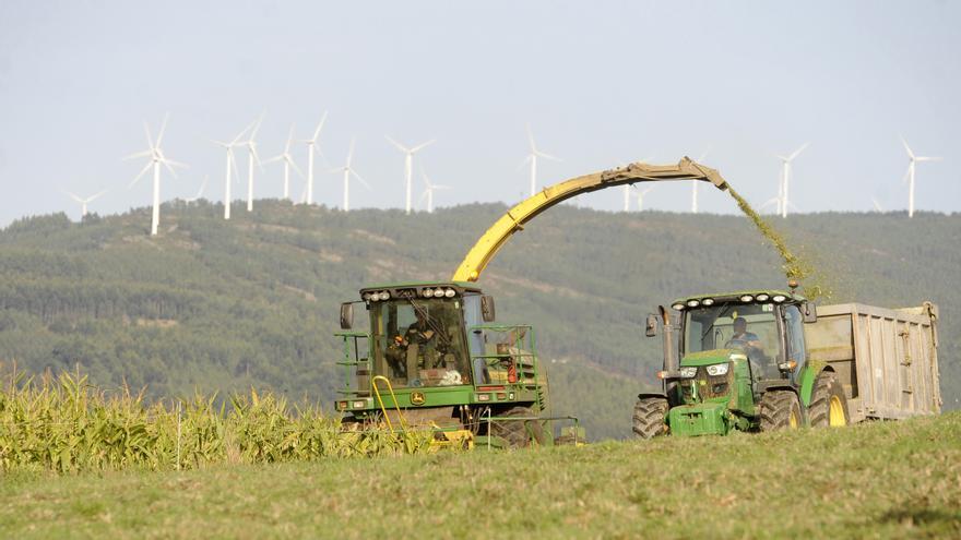 Educación, campo y salud tienen la menor tasa de paro en Galicia, por debajo del 7%