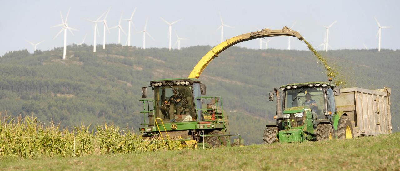 Agricultores en Silleda.