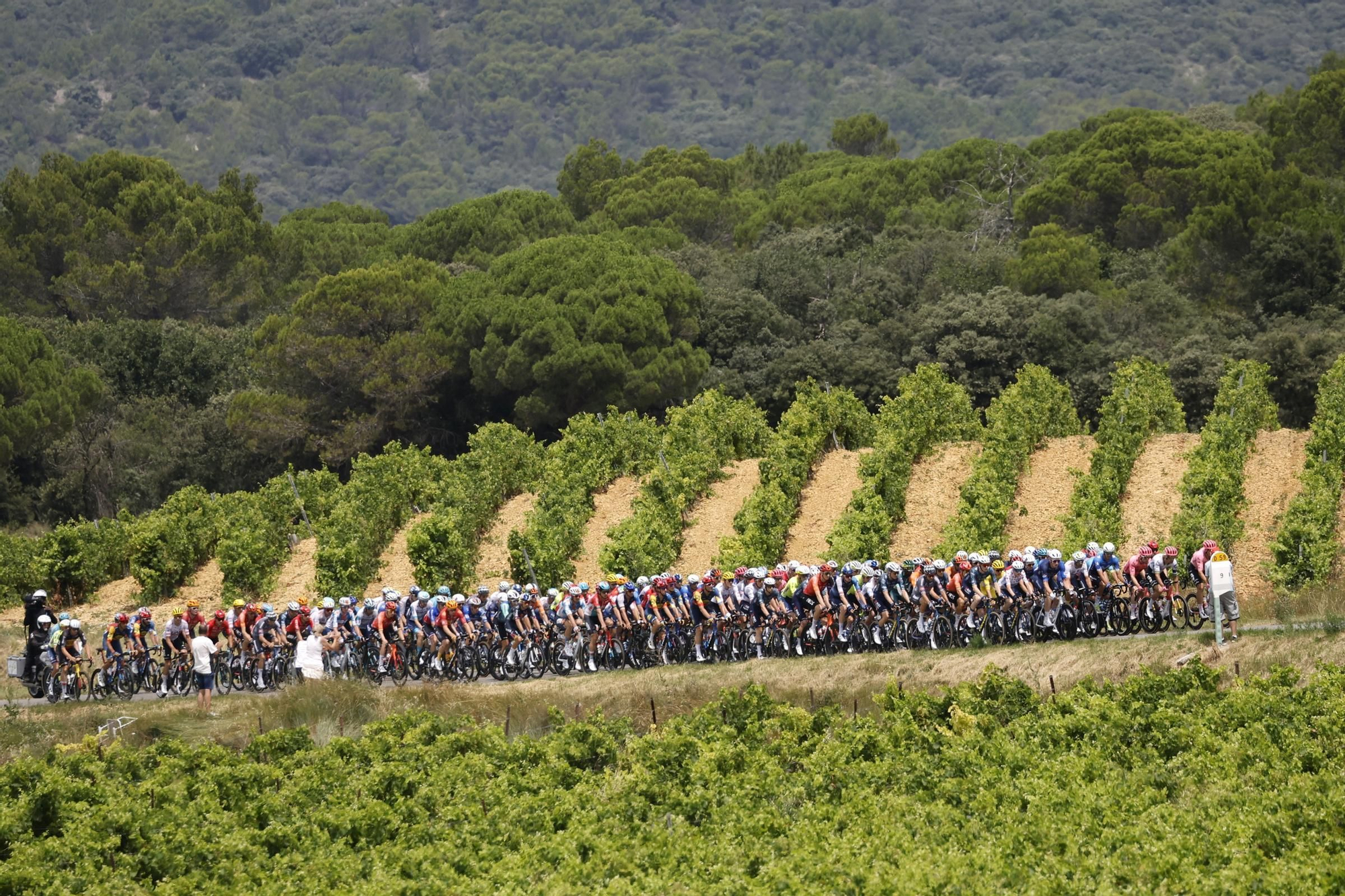 Tour de France 2024 - Stage 17