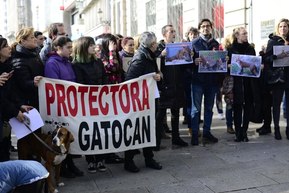 Protesta en A Coruña contra la caza de zorros