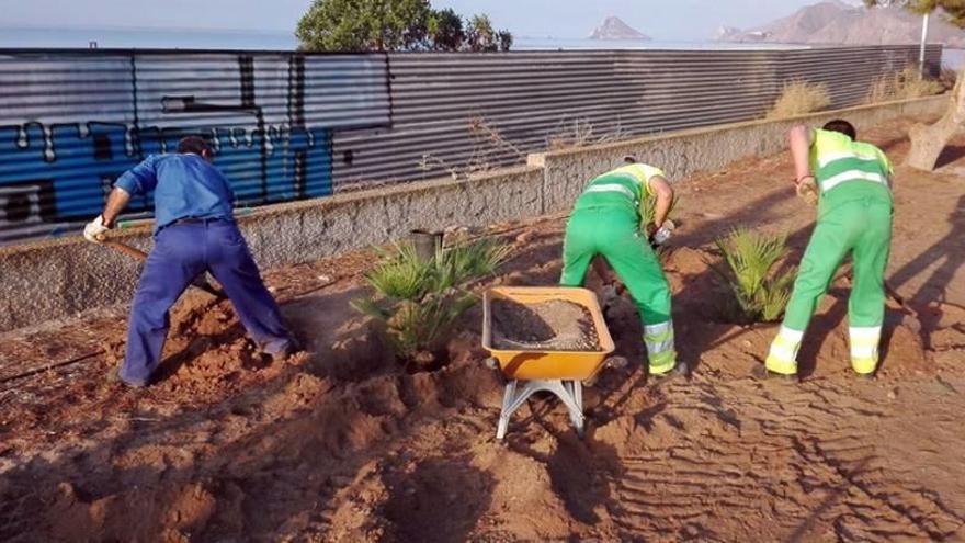 La entrada a Calabardina se convertirá en un pulmón verde