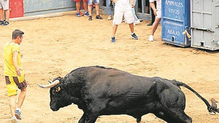 El encierro de embolados llena de aficionados el recinto de la vila