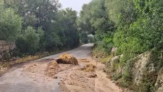 Las fuertes lluvias desbordan el torrente de Banyeres en Porreres, derriban un muro e inundan un camino