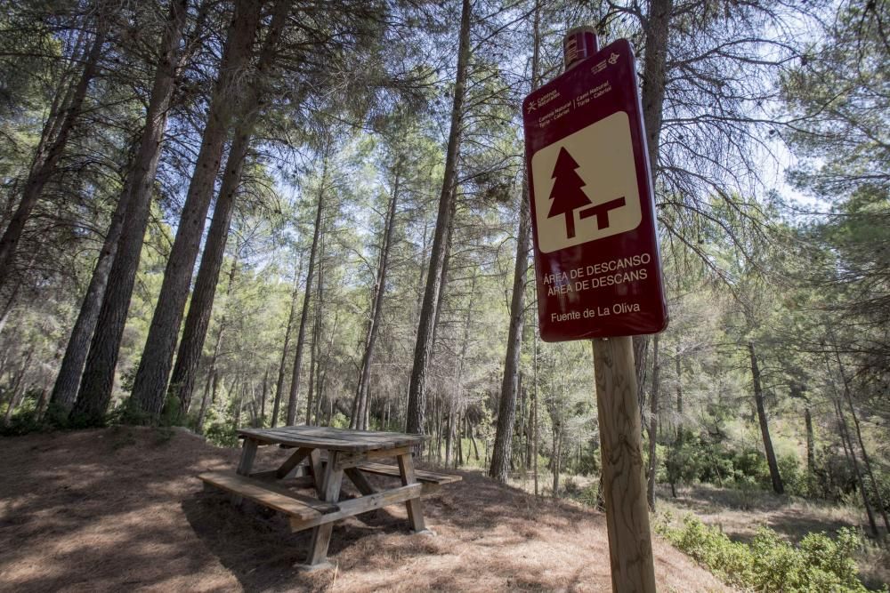 Ruta del Turia al Cabriel, a pie o en bicicleta