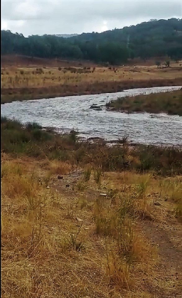 Fotograma del torrente de agua que fluyó por el Bodión tras la tormenta.