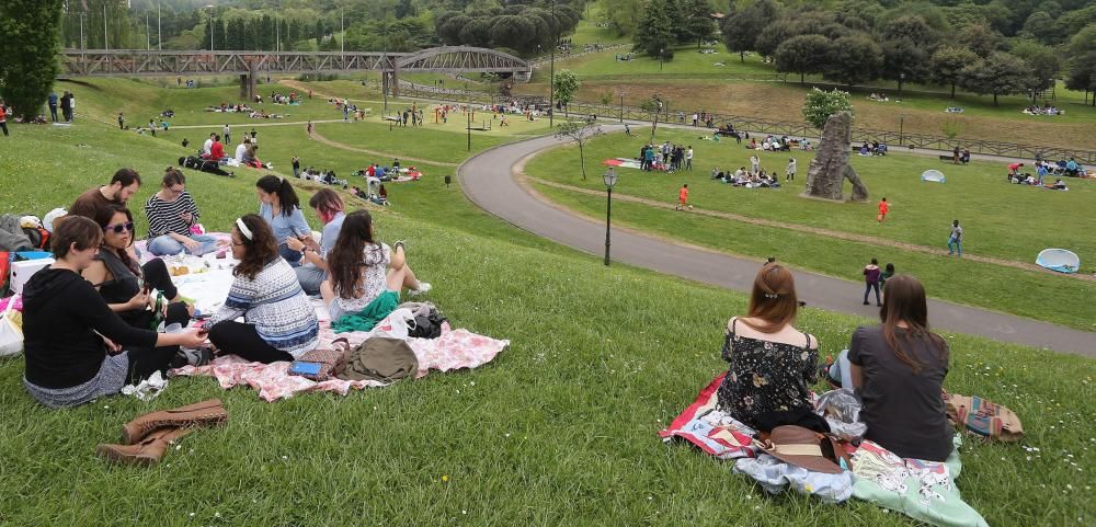 Martes de Campo en Oviedo