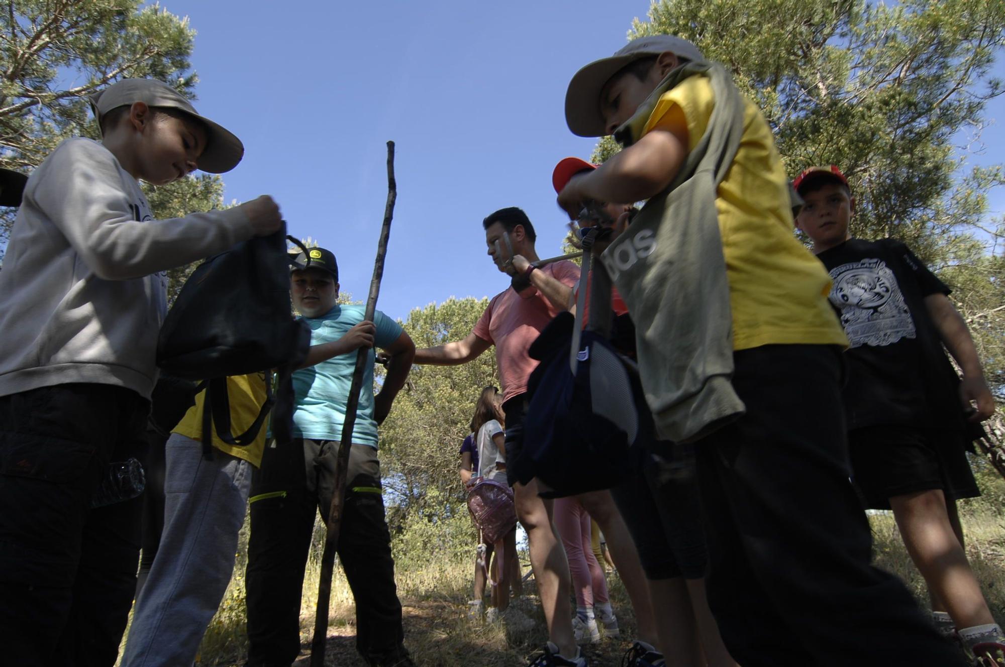 GALERÍA | "Érase una vez una senda verde" en Quiruelas de Vidriales