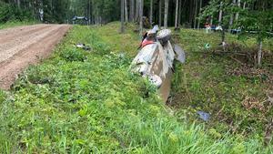 Tanak ha acabado en una zanja tras perder el control del Hyundai en el Rally de Estonia