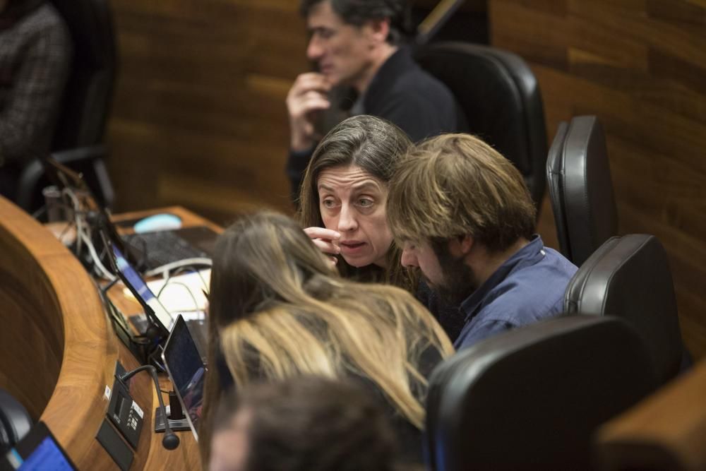 Intervención de la consejera María Jesús Álvarez sobre los daños de los lobos en la Junta